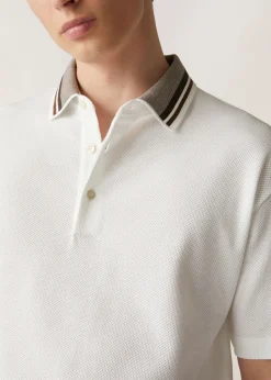Polo Cambria