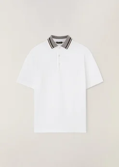 Polo Cambria