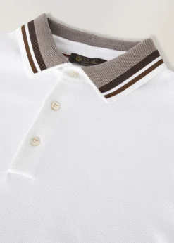 Polo Cambria
