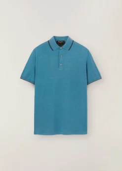 Polo Vicuna